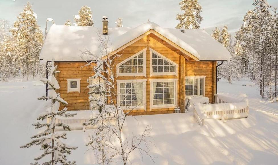 Hallahaukka Ivalo