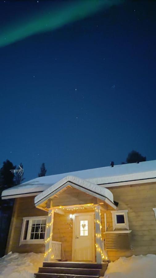Hallahaukka *